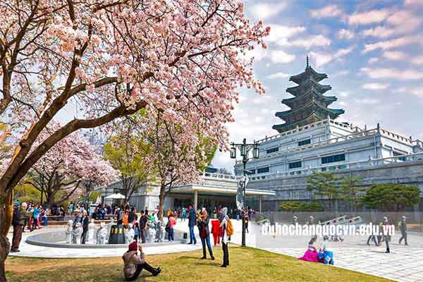 Lý do đi du học Hàn Quốc