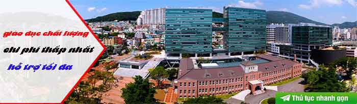 công ty du học hàn quốc ở hà nội