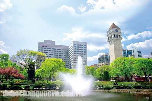 Học phí và học bổng của trường Đại học Sejong