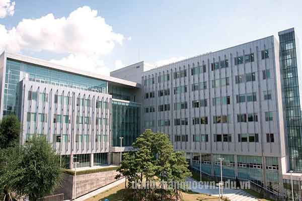 trường Đại học Seoul Sirip