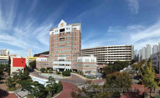 Các trường đại học ở Busan Hàn Quốc