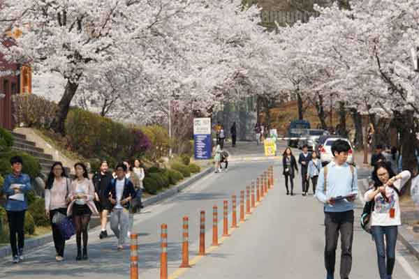 Học phí các trường Đại học Hàn Quốc