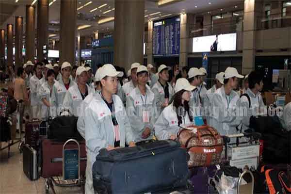 nên đi du học hay xuất khẩu lao động Hàn Quốc